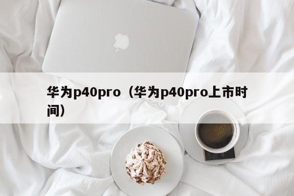 华为p40pro（华为p40pro上市时间）