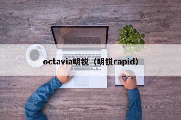 octavia明锐（明锐rapid）