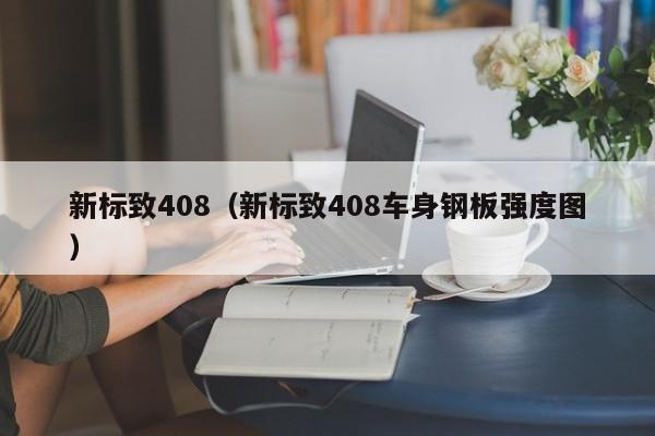 新标致408（新标致408车身钢板强度图）