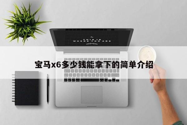 宝马x6多少钱能拿下的简单介绍