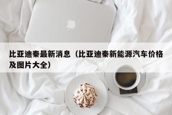 比亚迪秦最新消息（比亚迪秦新能源汽车价格及图片大全）