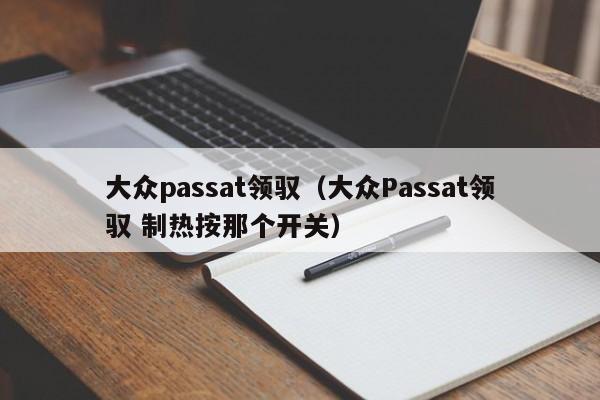 大众passat领驭（大众Passat领驭 制热按那个开关）