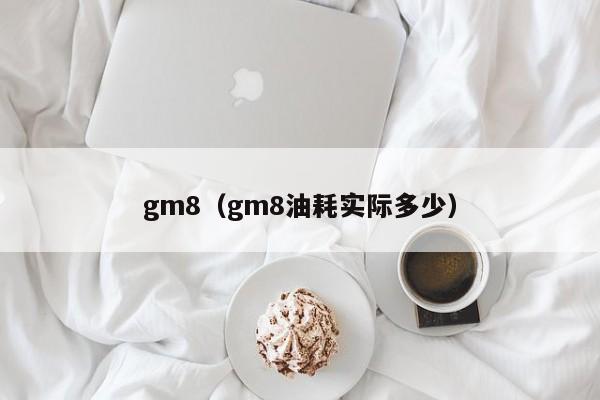 gm8（gm8油耗实际多少）