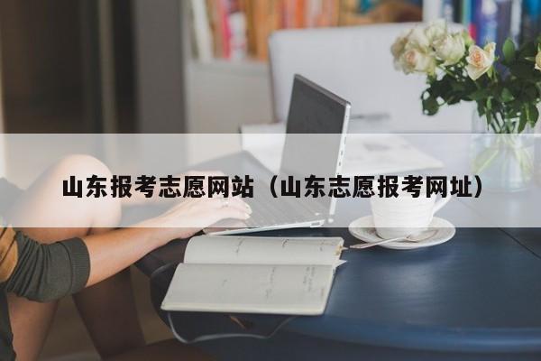 山东报考志愿网站（山东志愿报考网址）