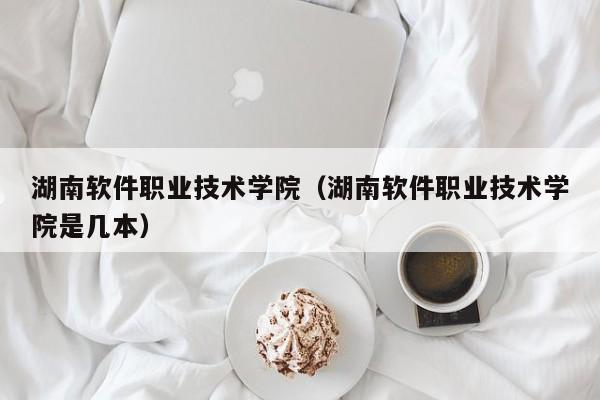 湖南软件职业技术学院（湖南软件职业技术学院是几本）