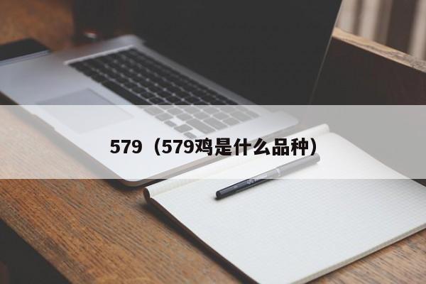 579（579鸡是什么品种）