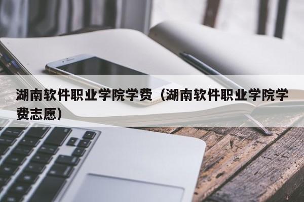 湖南软件职业学院学费（湖南软件职业学院学费志愿）