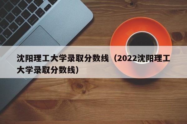 沈阳理工大学录取分数线（2022沈阳理工大学录取分数线）