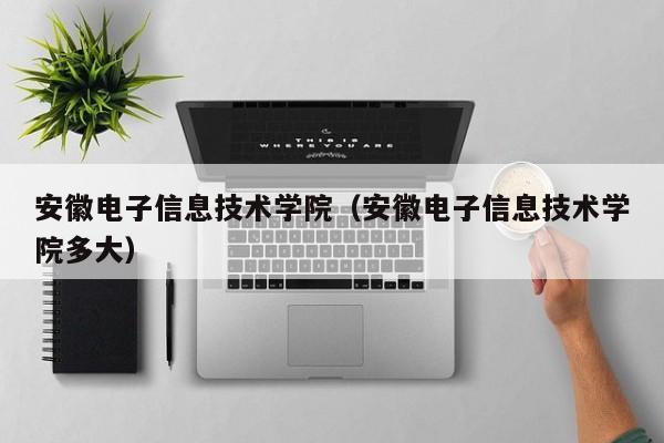 安徽电子信息技术学院（安徽电子信息技术学院多大）