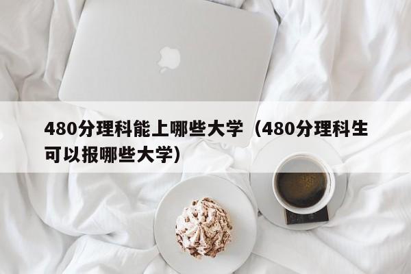 480分理科能上哪些大学（480分理科生可以报哪些大学）