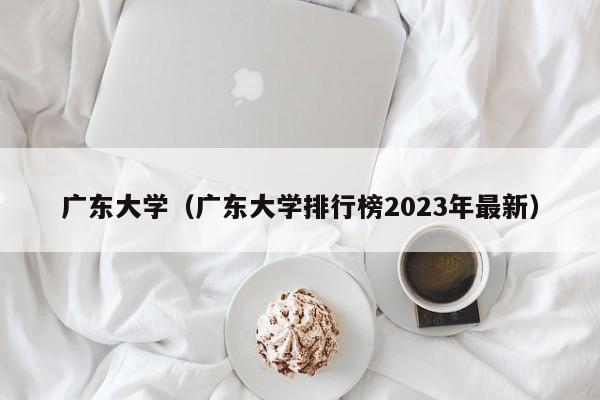 广东大学（广东大学排行榜2023年最新）