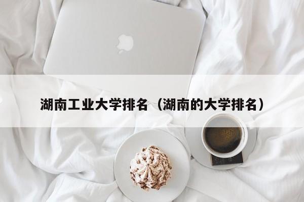 湖南工业大学排名（湖南的大学排名）