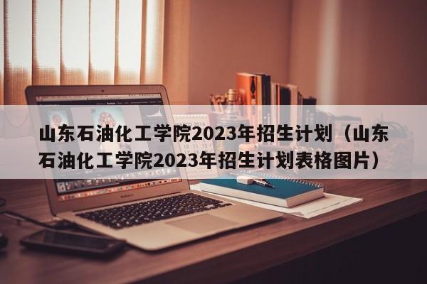 山东石油化工学院2023年招生计划（山东石油化工学院2023年招生计划表格图片）