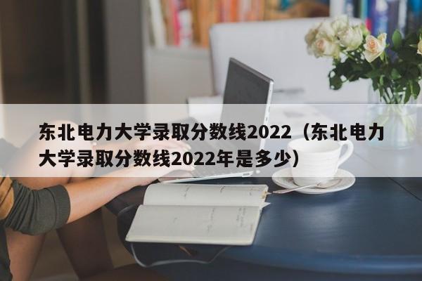 东北电力大学录取分数线2022（东北电力大学录取分数线2022年是多少）