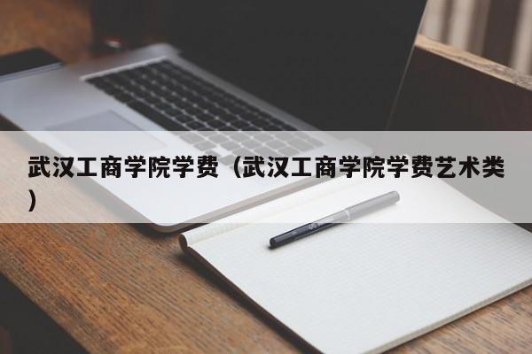 武汉工商学院学费（武汉工商学院学费艺术类）