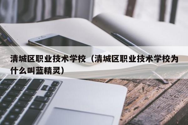 清城区职业技术学校（清城区职业技术学校为什么叫蓝精灵）