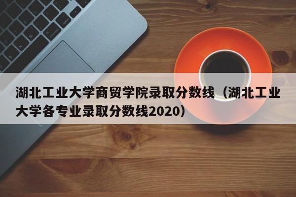 湖北工业大学商贸学院录取分数线（湖北工业大学各专业录取分数线2020）