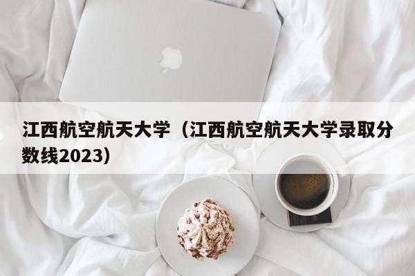 江西航空航天大学（江西航空航天大学录取分数线2023）