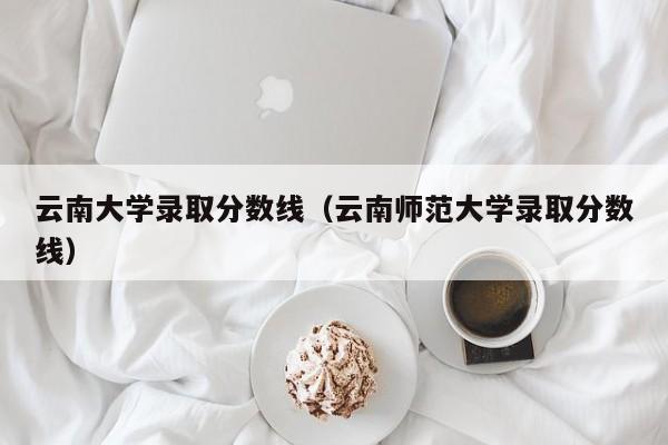 云南大学录取分数线（云南师范大学录取分数线）