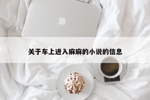 关于车上进入麻麻的小说的信息