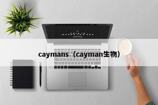 caymans（cayman生物）