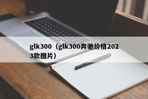 glk300（glk300奔驰价格2023款图片）