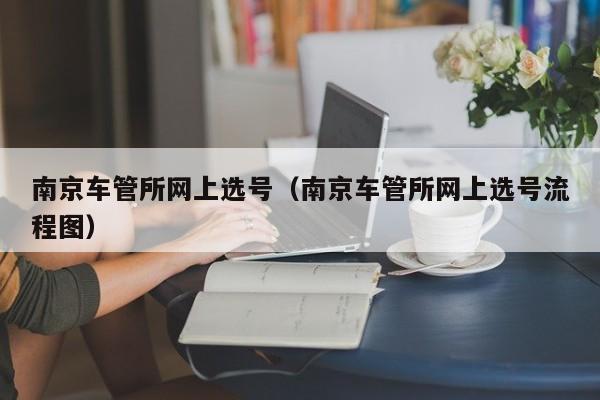 南京车管所网上选号（南京车管所网上选号流程图）