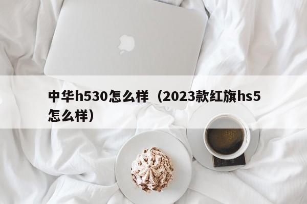 中华h530怎么样（2023款红旗hs5怎么样）