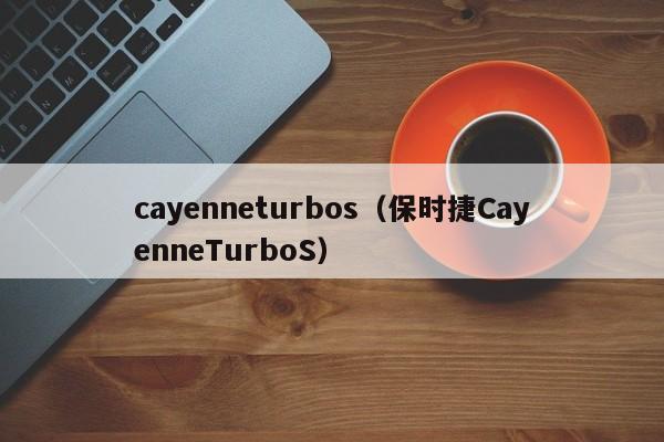 cayenneturbos（保时捷CayenneTurboS）