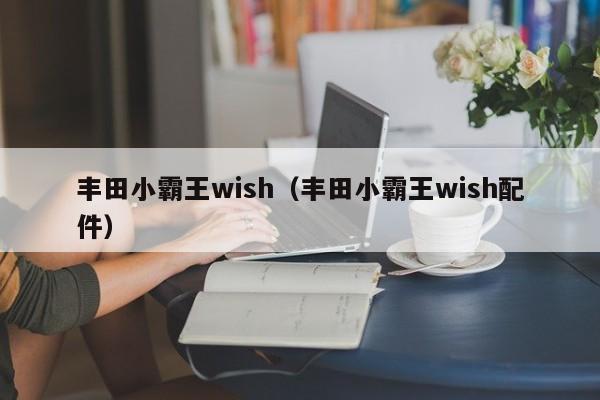 丰田小霸王wish（丰田小霸王wish配件）