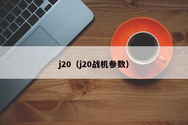 j20（j20战机参数）