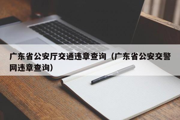 广东省公安厅交通违章查询（广东省公安交警网违章查询）