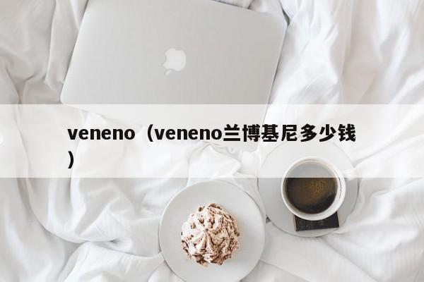 veneno（veneno兰博基尼多少钱）