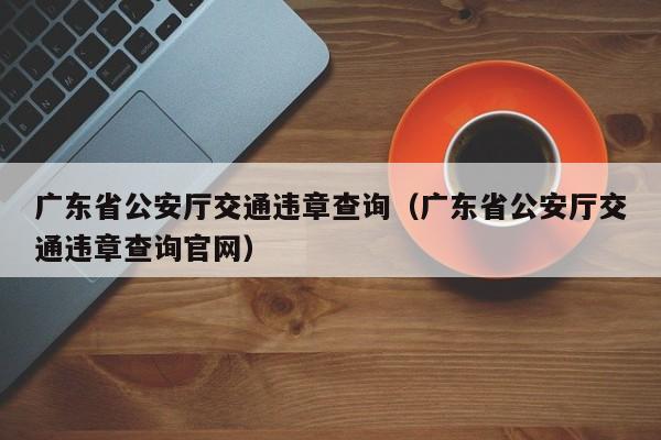 广东省公安厅交通违章查询（广东省公安厅交通违章查询官网）