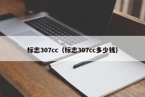 标志307cc（标志307cc多少钱）