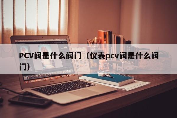 PCV阀是什么阀门（仪表pcv阀是什么阀门）