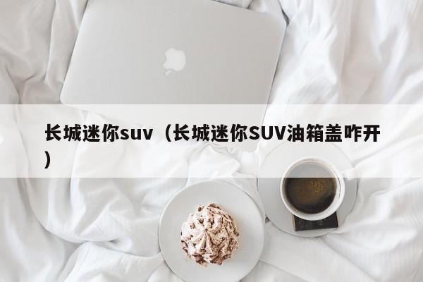 长城迷你suv（长城迷你SUV油箱盖咋开）