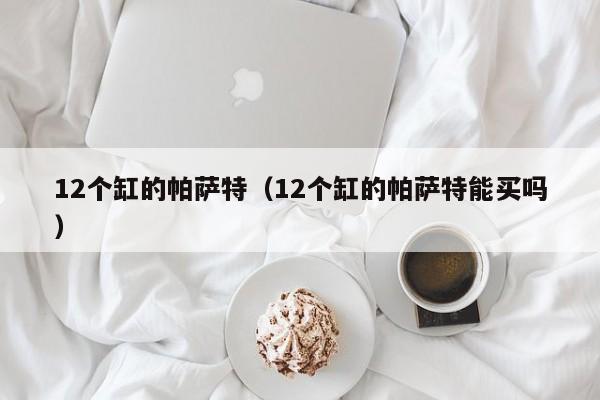 12个缸的帕萨特（12个缸的帕萨特能买吗）