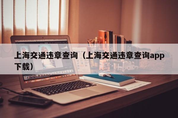 上海交通违章查询（上海交通违章查询app下载）