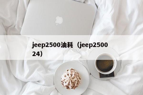 jeep2500油耗（jeep2500 24）