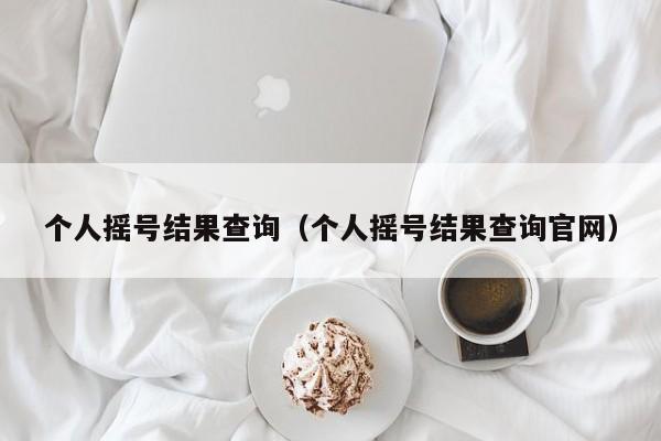 个人摇号结果查询（个人摇号结果查询官网）