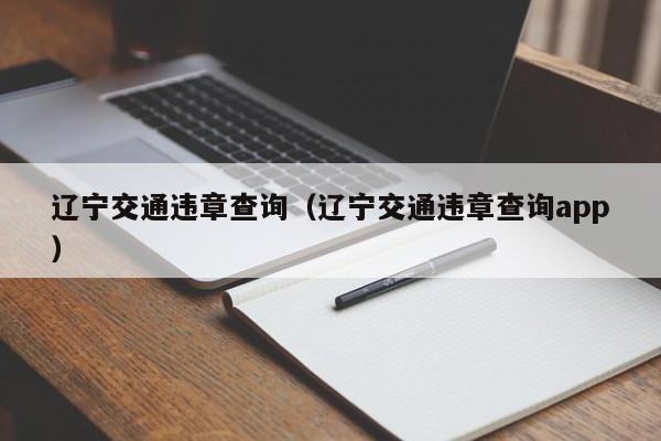 辽宁交通违章查询（辽宁交通违章查询app）