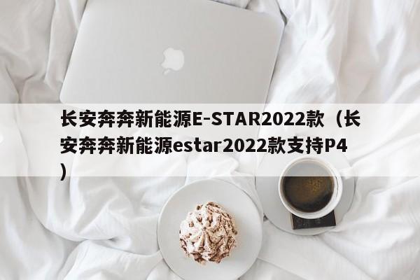 长安奔奔新能源E-STAR2022款（长安奔奔新能源estar2022款支持P4）