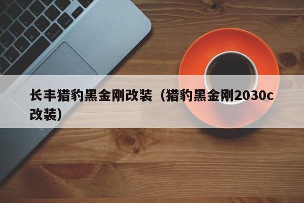 长丰猎豹黑金刚改装（猎豹黑金刚2030c改装）